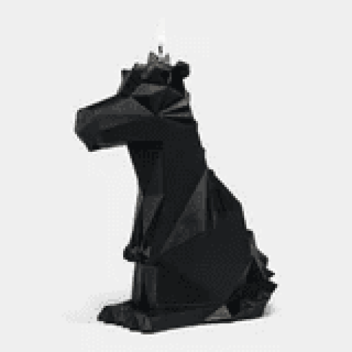 PyroPet Dreki Black