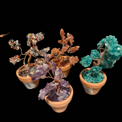 Potted Gem Plants