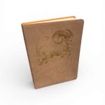 Aries Journal