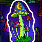 MUSHROOMS WINDOW STICKER 4.5″ – 5″