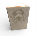 Cancer Journal (color may vary)